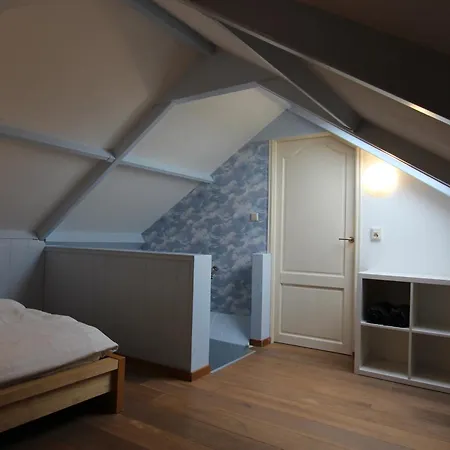 De Zilverreiger Op Oudesluis