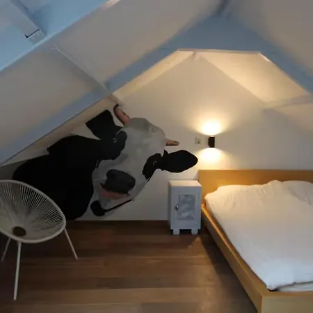 Prázdninový dům De Zilverreiger Op