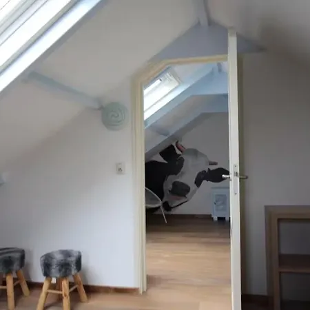 Tatil Evi De Zilverreiger Op