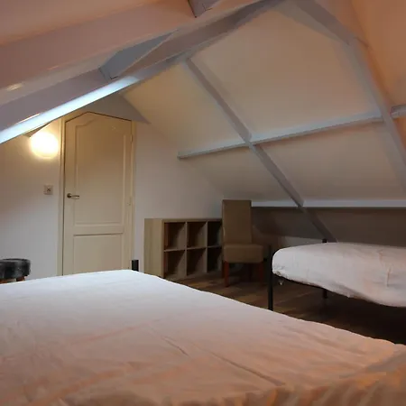 De Zilverreiger Op Tatil Evi