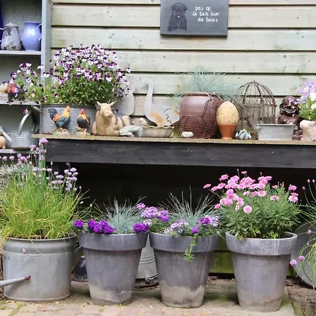 De Zilverreiger Op *