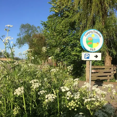 De Zilverreiger Op *