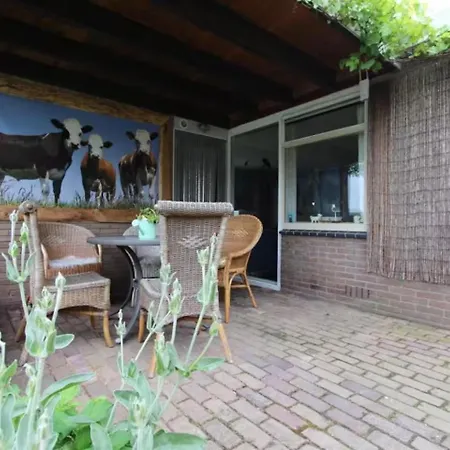 De Zilverreiger Op Tatil Evi