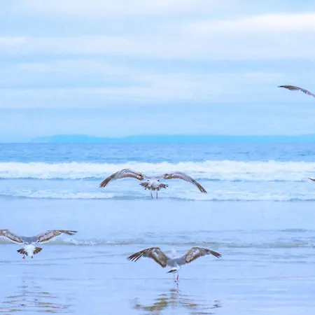 De Zilverreiger Op 別荘 *