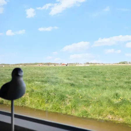 De Zilverreiger Op Oudesluis (North Holland)