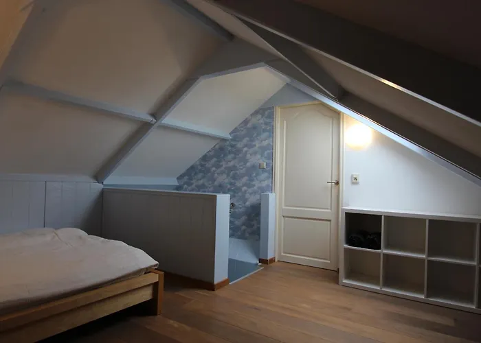 De Zilverreiger Op Oudesluis (North Holland)