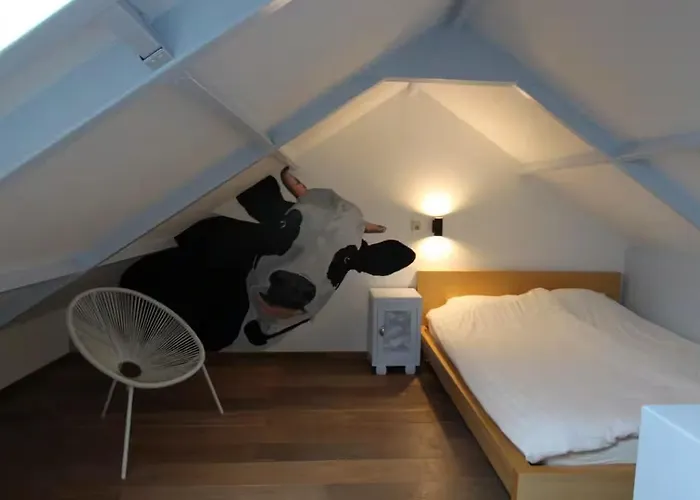 Tatil Evi De Zilverreiger Op