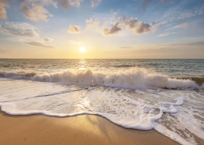 De Zilverreiger Op *