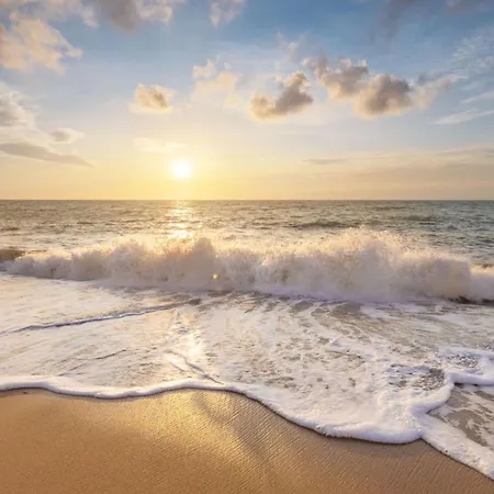 De Zilverreiger Op *