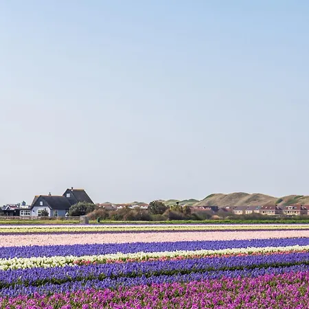 De Zilverreiger Op Semesterbostad *