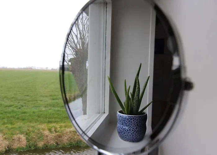 Semesterbostad De Zilverreiger Op *