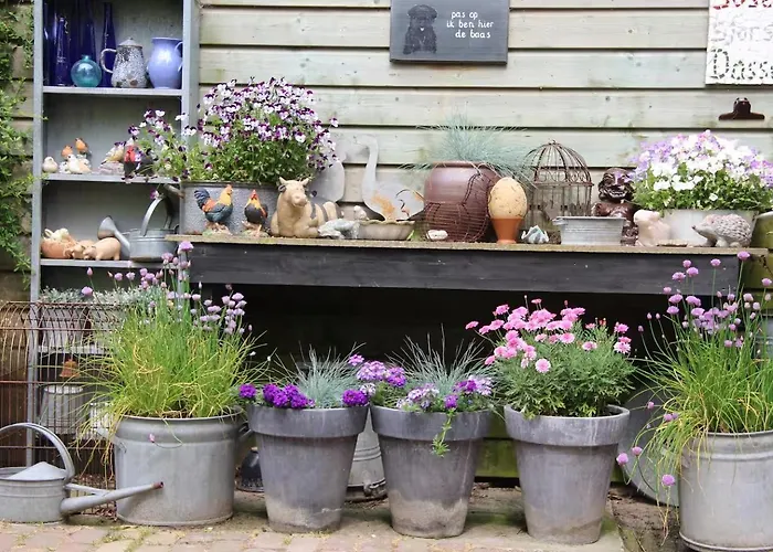 De Zilverreiger Op *