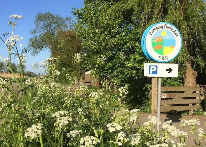 De Zilverreiger Op *